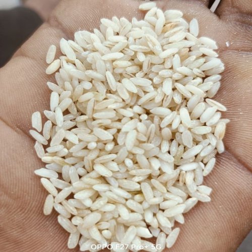 Garudan Samba Rice