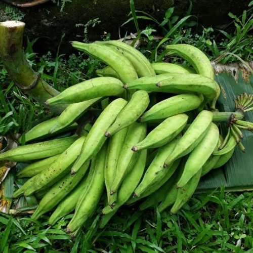 Fresh Banana Fruit