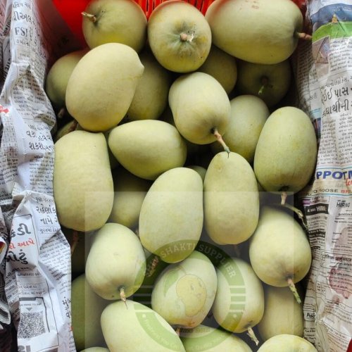 golden premium valsad kesar mango