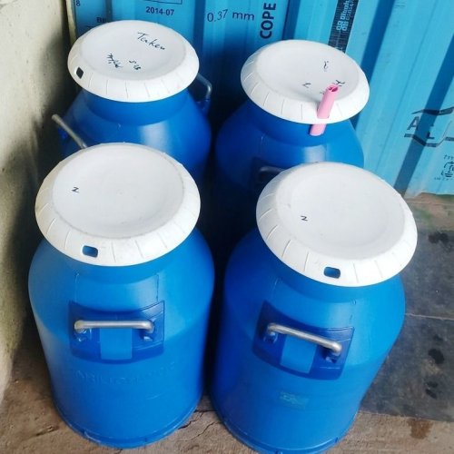 Pasteurized Full Cream Milk