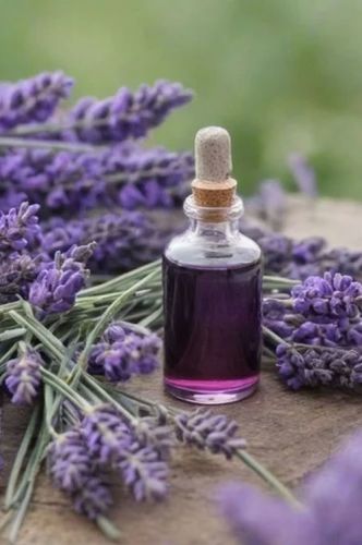 Lavender Essential Oil