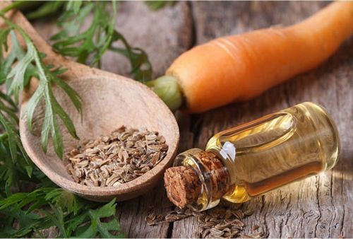 Pure Carrot Seed Essential Oil