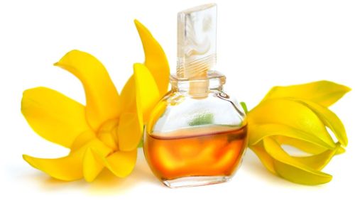 Ylang Ylang Essential Oil