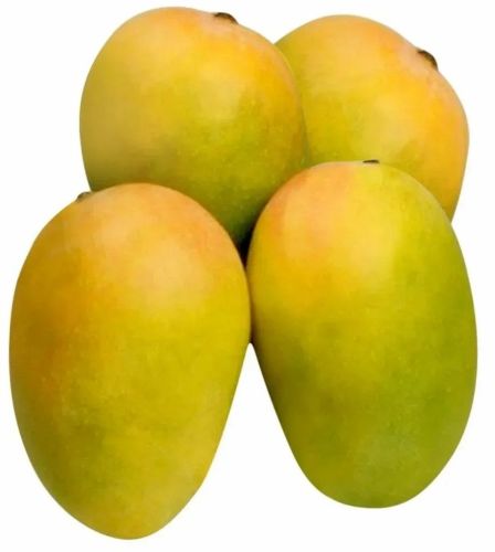 Fresh Kesar Mango