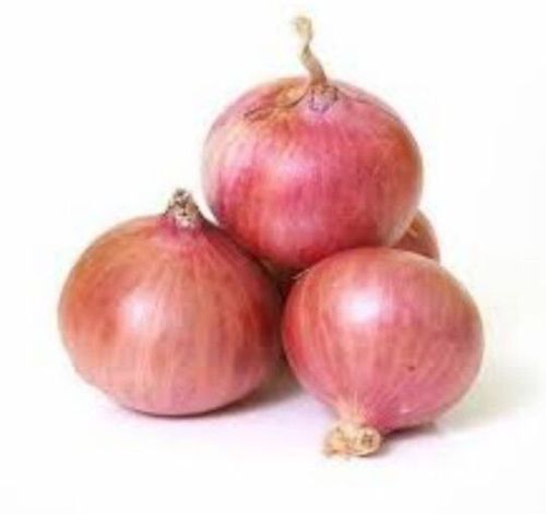Fresh Pink Onion