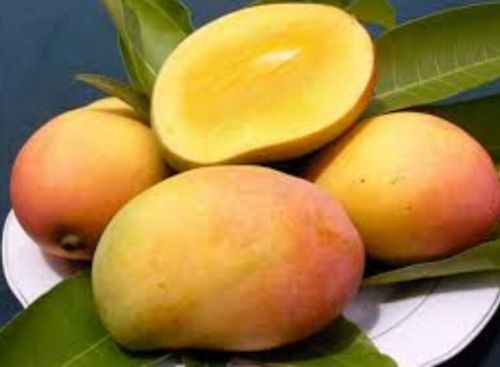 Fresh Rajapuri Mango
