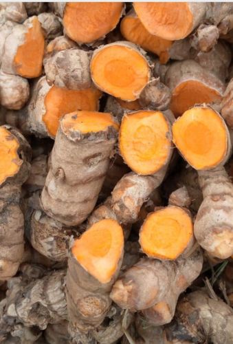 Raw Natural Turmeric
