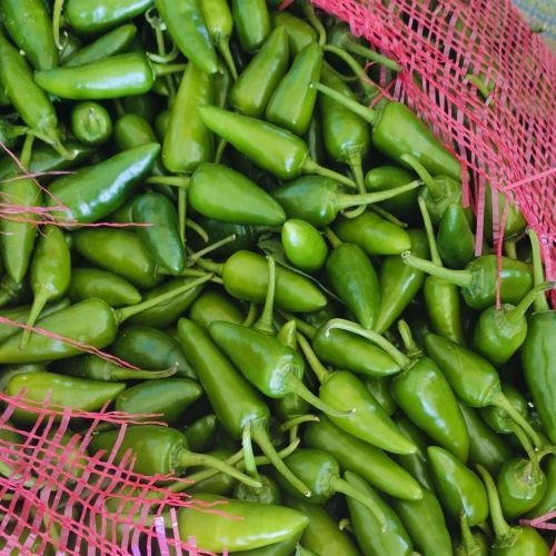 Fresh Bullet Green Chilli