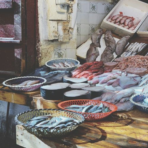 Fish & Seafood International Export Service