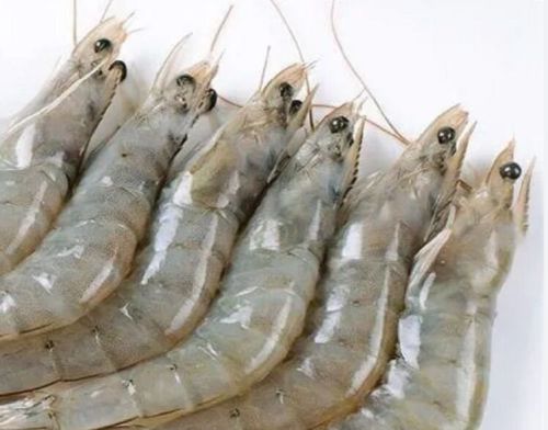 Frozen Seafood