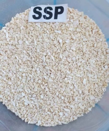 SSP Cashew Nut