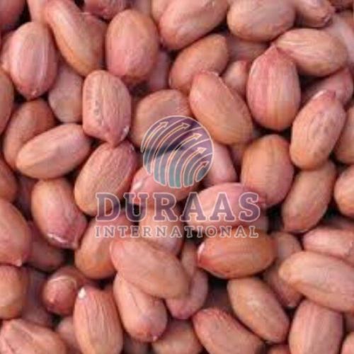 Raw & Processed Peanuts