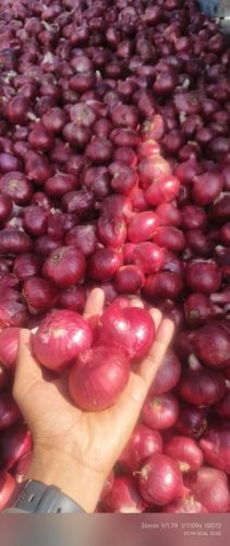 Onions