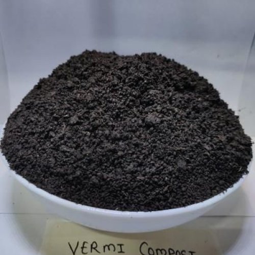 Cow Dung Manure