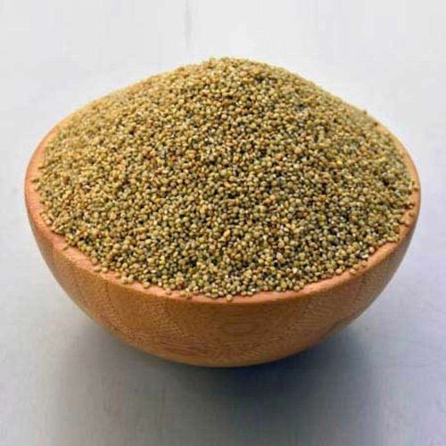 Browntop Millet Seeds