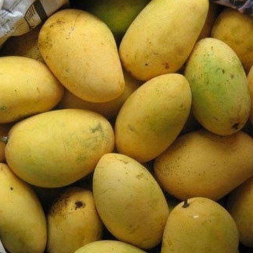 Fresh Badami Mango