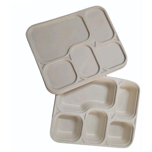 5CP Bagasse Meal Tray