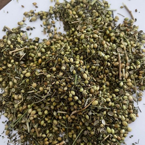 Coriander Seeds