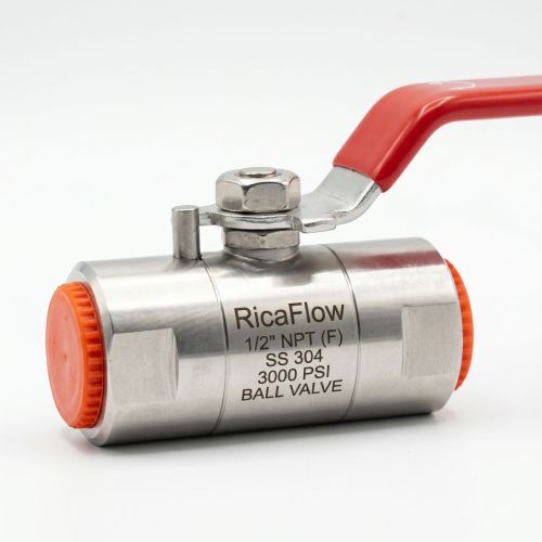 Ball Valve Female X Female Hex Body 3000 PSI 1/2 Inch SS304 Ricaflow