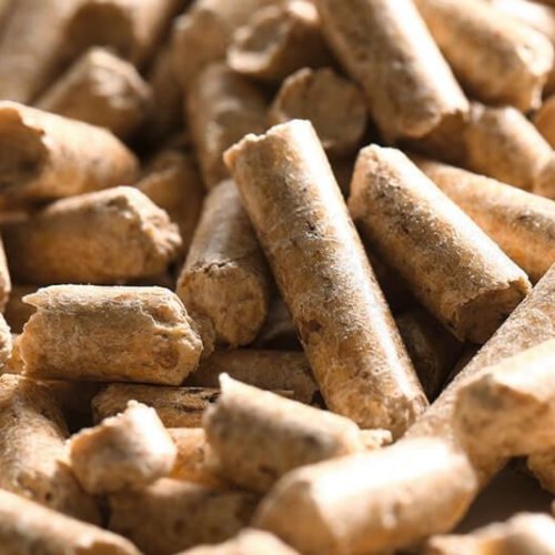 Biomass Pellet