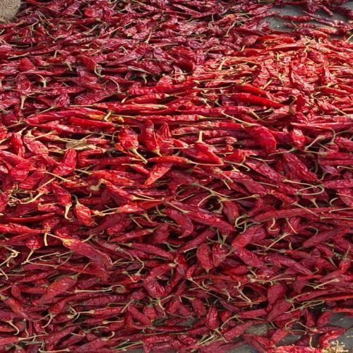 Armour Red Chilli