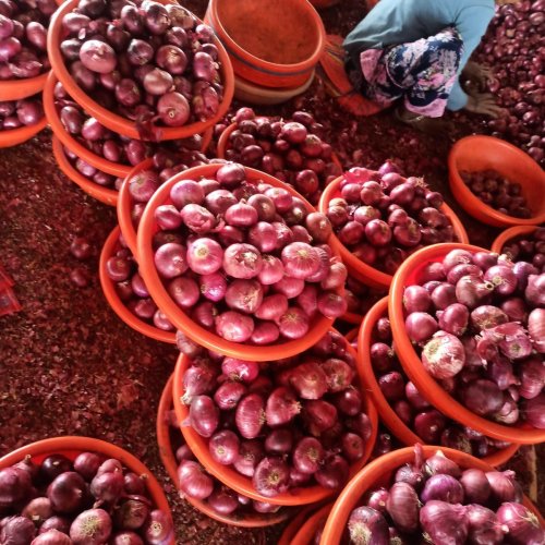 red onion
