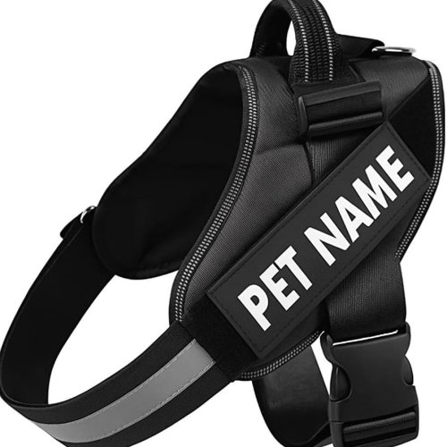 Customized All Sizes Vest Adjustable Dog Harness Belt