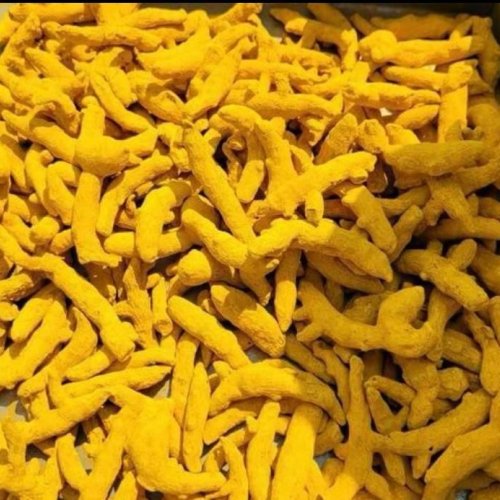 Turmeric Finger