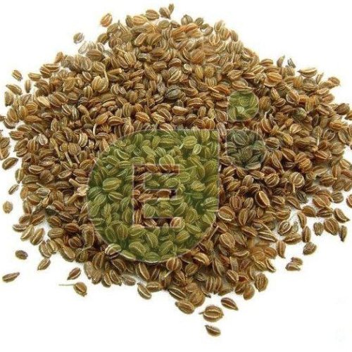 Celery Seeds