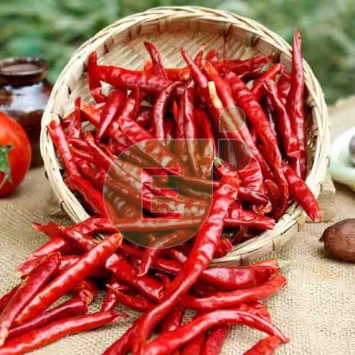 Dried Red Chilli