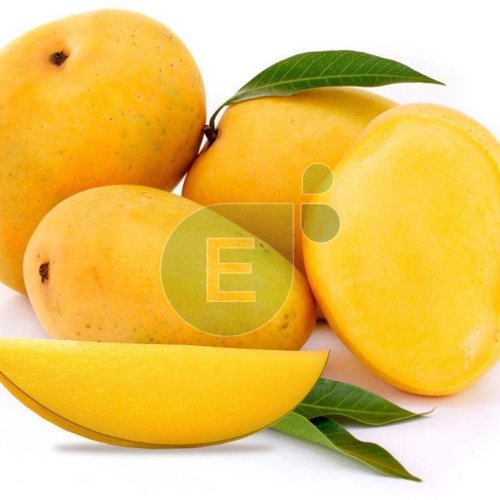 Fresh Mango