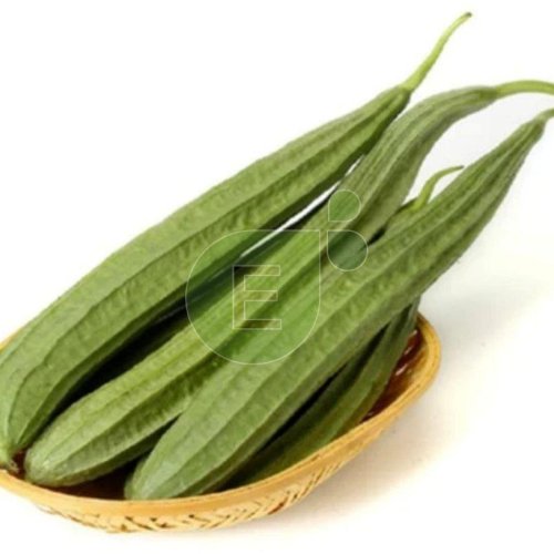 Fresh Ridge Gourd