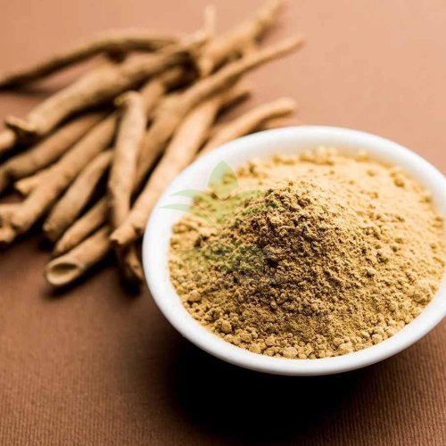 Ashwagandha Herbal Extract Powder