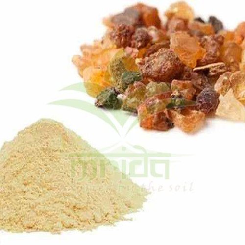 Commiphora Mukul Guggul Extract