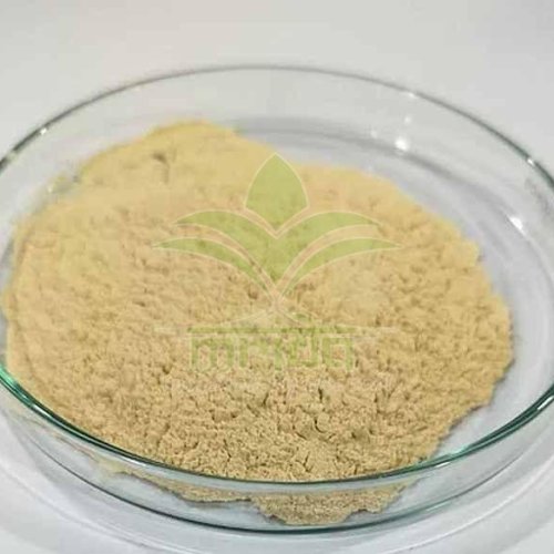 Ginger Extract Powder