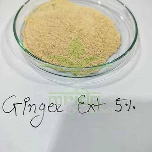 Ginger Herbal Extract
