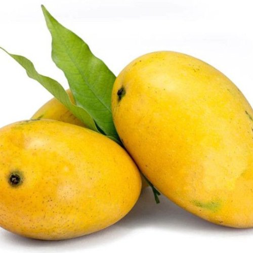 Badami Mango