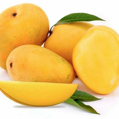 Commercial Mangoes