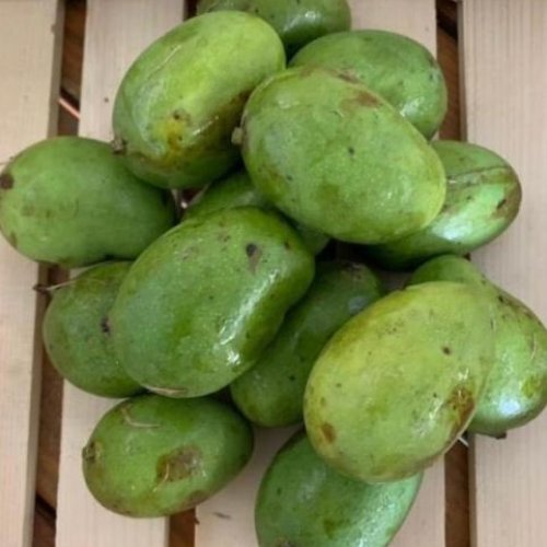 Chandrakkaran Mango