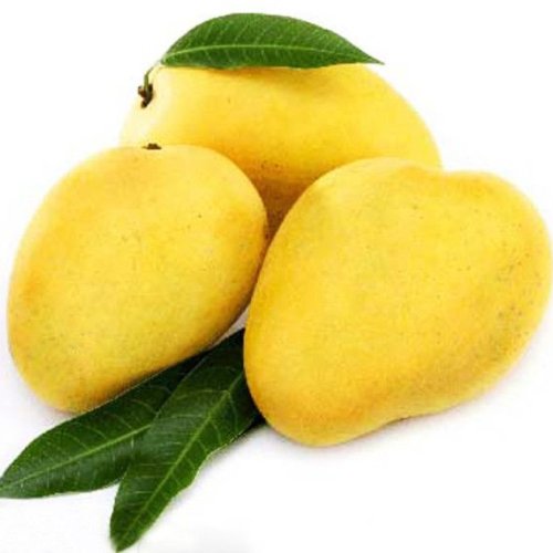 Chaunsa Mango
