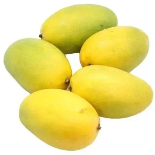 Chausa Mango