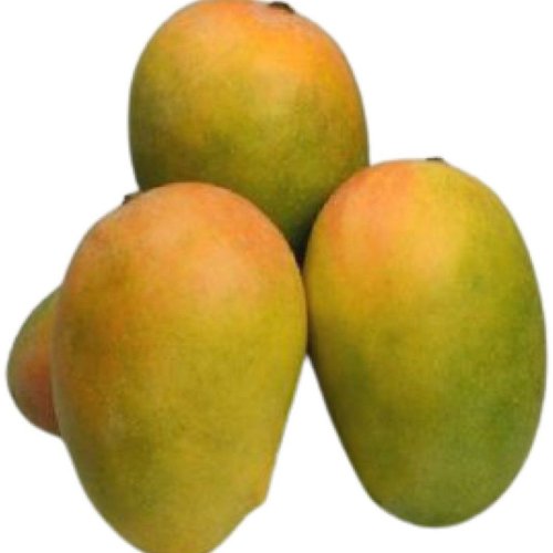 Gir Kesar Mango