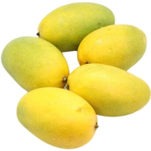 Himsagar Mango