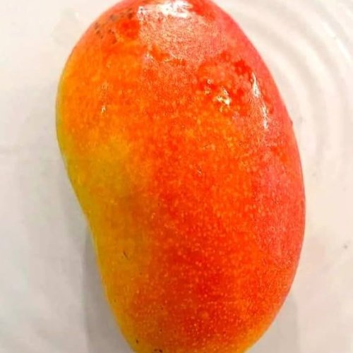 Husnara Mango