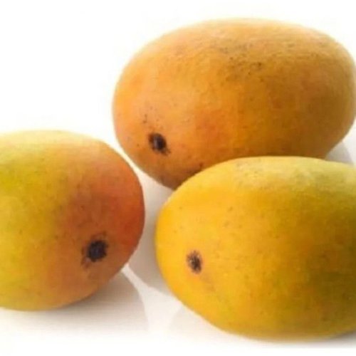 Lakshmanbhog Mango