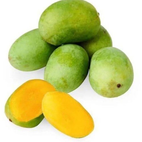 Organic Malda Mango