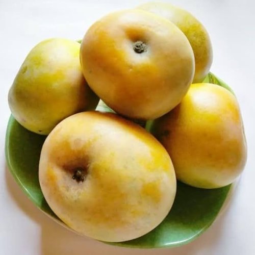 Rumani Mango