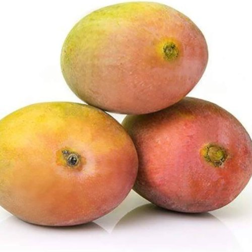 Sindhura Mango