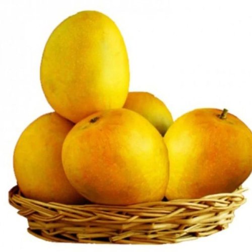 Zardalu Mango