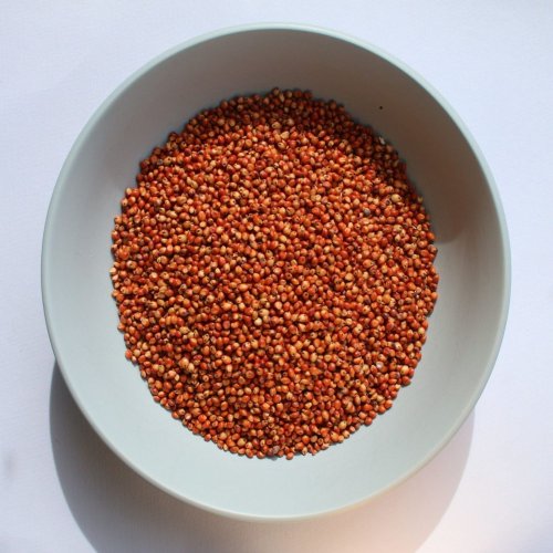 Red Sorghum Seeds